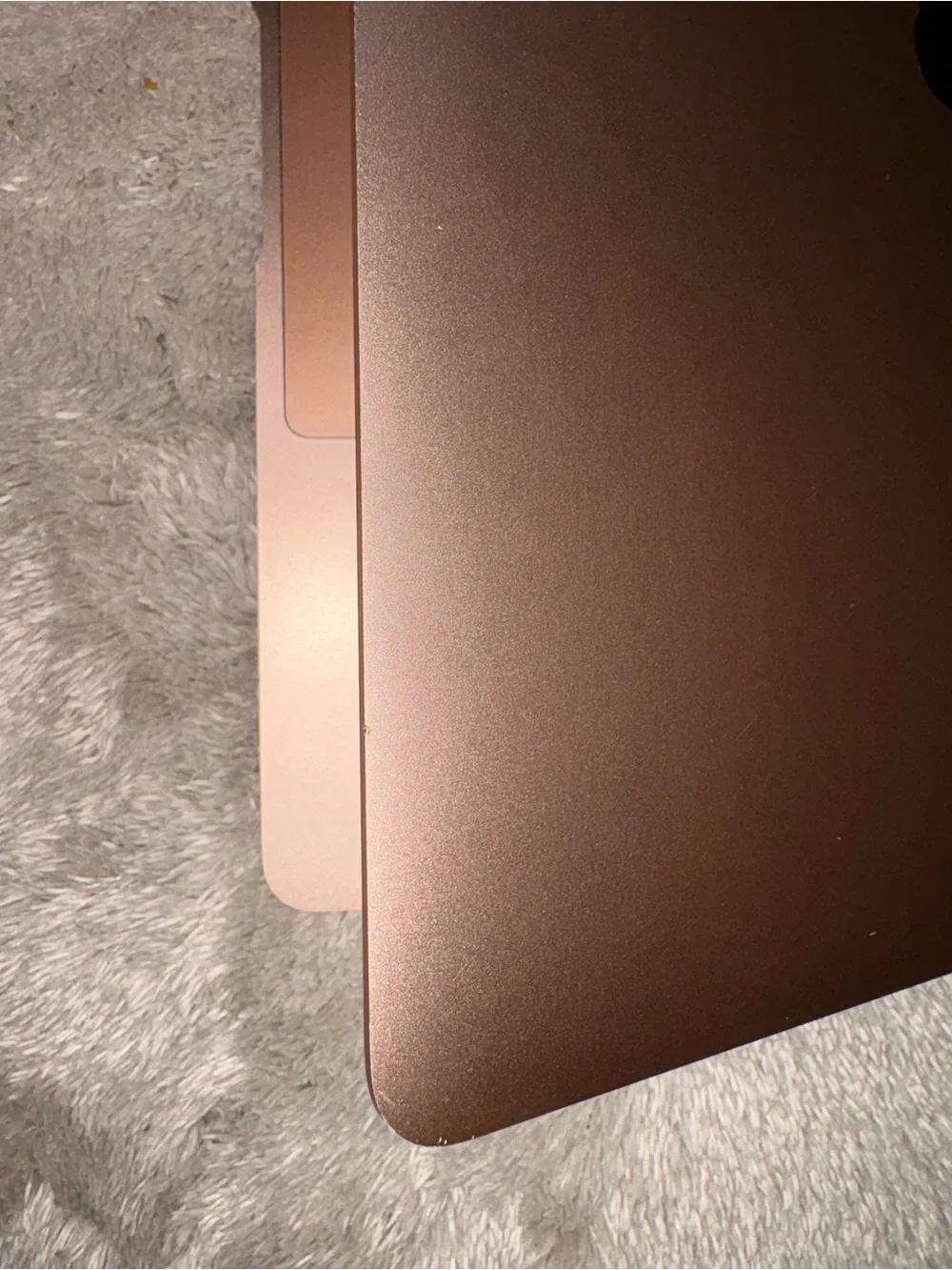 Apple Rose Gold Laptop with Plum Protective Sleeve